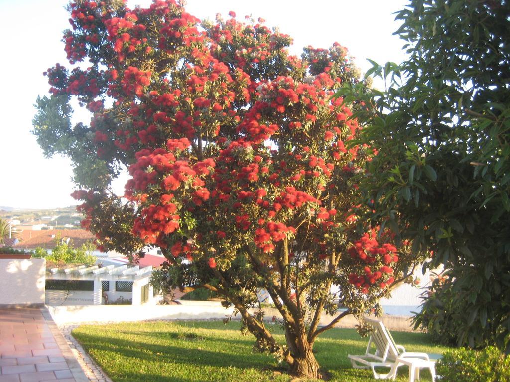 Estudio Mateus Villa Areia Branca Oda fotoğraf